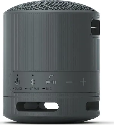 Sony SRS-XB100 Portable Bluetooth Speaker