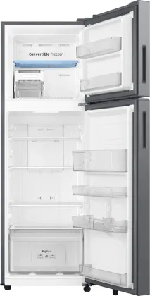 Samsung RT40H30U2PH 256 L 2 Star Double Door Refrigerator