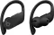Beats Powerbeats Pro True Wireless Earbuds