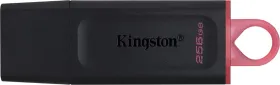 Kingston DataTraveler Exodia DTX 256GB USB 3.2 Pen Drive