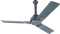 Usha Phi Beta 1200 mm 3 Blade BLDC Ceiling Fan