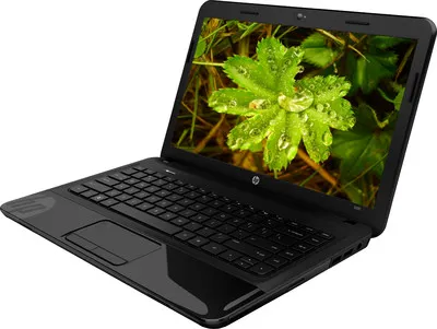 HP Pavilion 1000-1B02AU Laptop (APU Dual Core/ 2GB/ 320GB/ DOS)