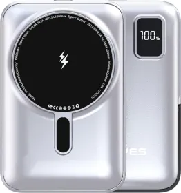 Lenyes PW134D 10000 mAh Power Bank