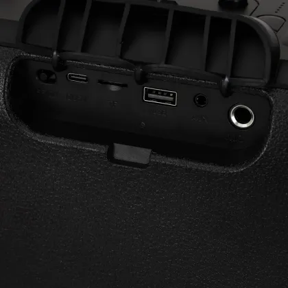Swiss Military Seismic 30W Bluetooth Speaker