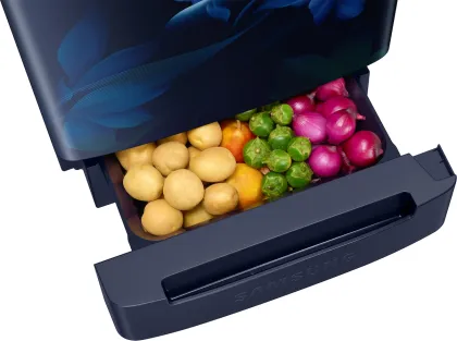 Samsung RR21H2H25UZ 189 L 5 Star Single Door Refrigerator