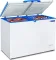 Blue Star CHFDD300MGPW 300 L Double Door Deep Freezer
