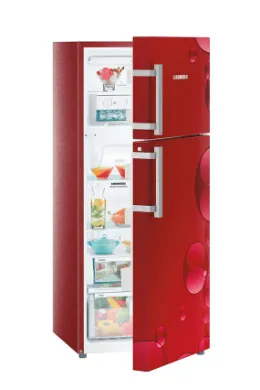 Liebherr TCR 2640 265 L 4 Star Double Door Refrigerator