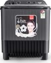 SummerCool Utsav 8 kg Semi Automatic Washing Machine
