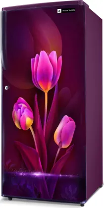 Realme TechLife 205BD2RM23 205 L 2 Star Single Door Refrigerator