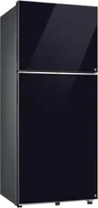 Samsung RT41DB6A4B22 396 L 2 Star Double Door Refrigerator