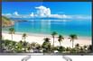 Micromax 32 CANVAS-S (32-inch) HD Ready Smart TV