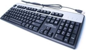 HP KU-0316 USB Standard Keyboard