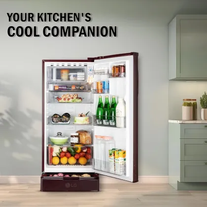 LG GLD1925XOSF 185 L 2 Star Single Door Refrigerator