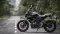 Yamaha MT-15 V2 MotoGP Edition