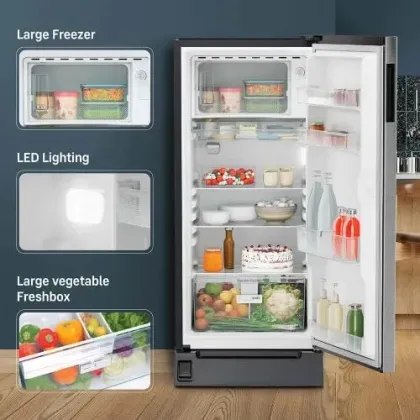 Liebherr DFPsiC 2021 202 L 3 Star Single Door Refrigerator