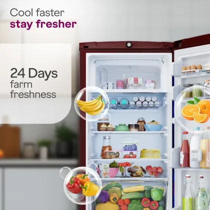 Godrej RD 195DN TDI MY WN 185 L 4 Star Single Door Refrigerator