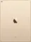 Apple iPad 9.7 2017 (WiFi+4G+128GB)