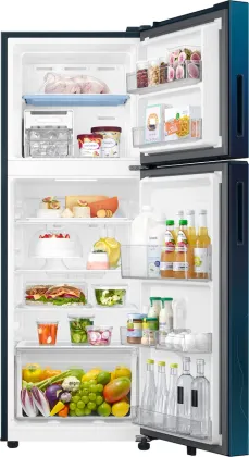 Samsung RT40H28U2PB 236 L 2 Star Double Door Refrigerator