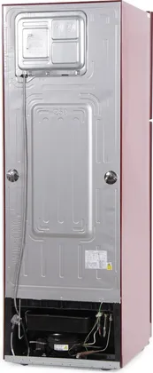 Samsung RT29HAJSARY/TL 275 L Double Door Refrigerator