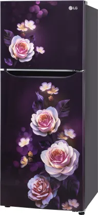 LG GL-N292DPBY 242 L 2 Star Double Door Refrigerator