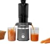 Brewine BSL01 200W Cold Press Slow Juicer