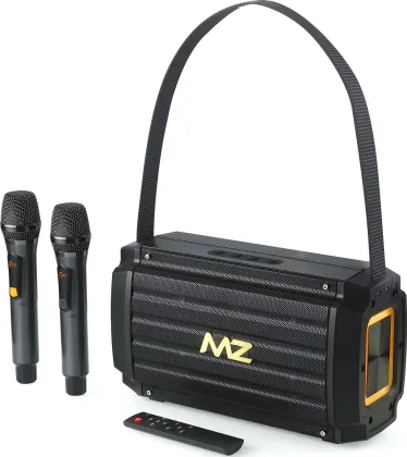 MZ M421SP 60W Bluetooth Speaker