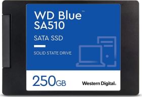 WD Blue SA510 250 GB Internal Solid State Drive