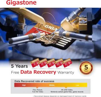 Gigastone ‎4K Camera Pro 256GB Micro SDXC UHS-1 Memory Card - image 7