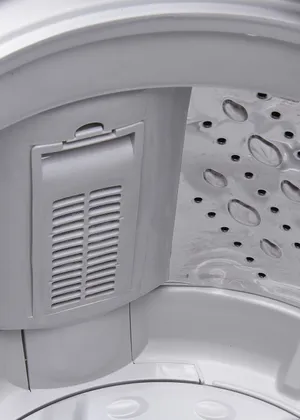 IFB AW60-205T 6 kg Fully Automatic Top Load Washing Machine