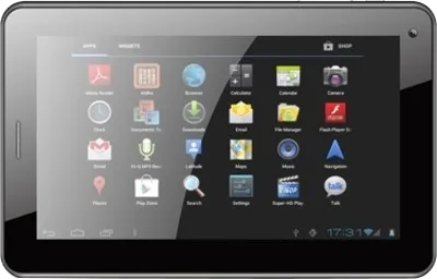 Micromax Funbook Talk P362 (2GB)