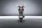Suzuki Gixxer SF 250 Flex Fuel