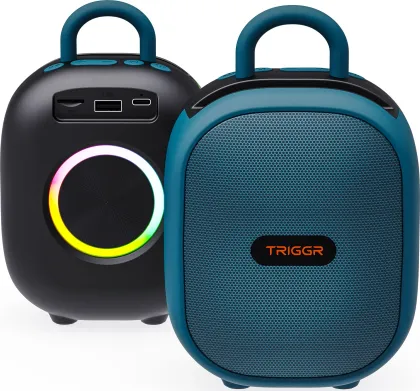 TRIGGR Roar 12 W Bluetooth Speaker