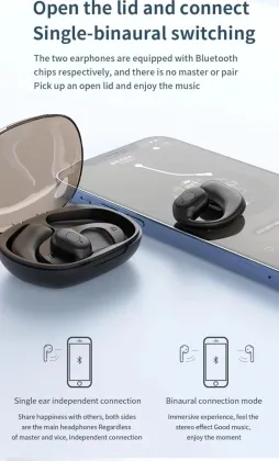 Vehop OpenGo OWS True Wireless Earbuds