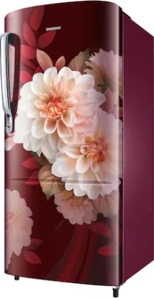 Samsung RR20F2723BR 183 L 3 Star Single Door Refrigerator
