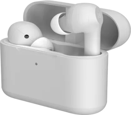 Noise IntelliBuds True Wireless Earbuds