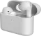 Noise IntelliBuds True Wireless Earbuds