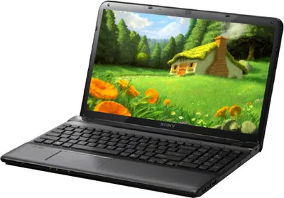 Sony VAIO E15125CN Laptop (3rd Gen Ci3/ 2GB/ 500GB/ Win8/ 1GB Graph)