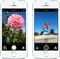 Apple iPhone 5S (32GB) (Gold, Silver, B/W and Space Gray)