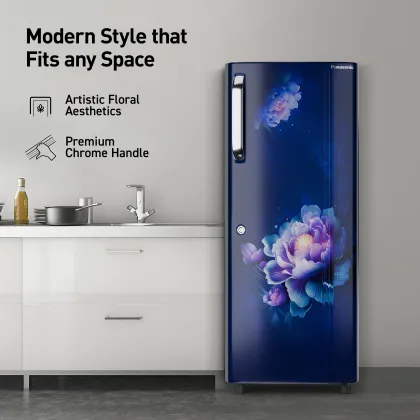 Panasonic NR-A242CFAN 230 L 3 Star Single Door Refrigerator