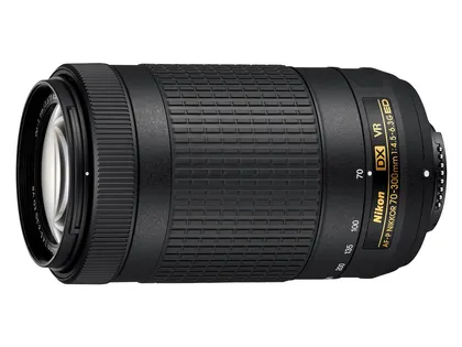 Nikon D3300 DSLR (AF-P 70-300mm VR Lens)