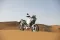 Ducati DesertX