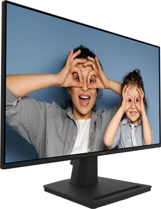 MSI PRO MP252 25 inch Full HD Monitor