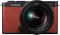 Panasonic Lumix S9 24MP Mirrorless Camera with Lumix 20-60mm F/3.5-5.6 Lens