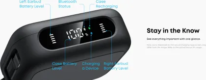 Soundcore P41i True Wireless Earbuds