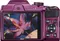 Nikon Coolpix B500 16 MP Point & Shoot Camera