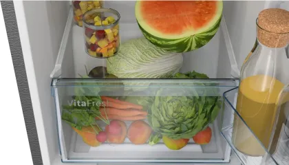 Bosch CTN29S21VI 290 L 4 Star Double Door Refrigerator