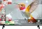 Croma CREL032HAL024601 32 inch HD Ready Smart LED TV