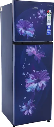 Lloyd GLFF292ADBC1GC 260 L 2 Star Double Door Refrigerator