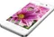 Lava Iris X1 Atom