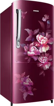 Samsung RR20C2724HN 183 L 4 Star Single Door Refrigerator